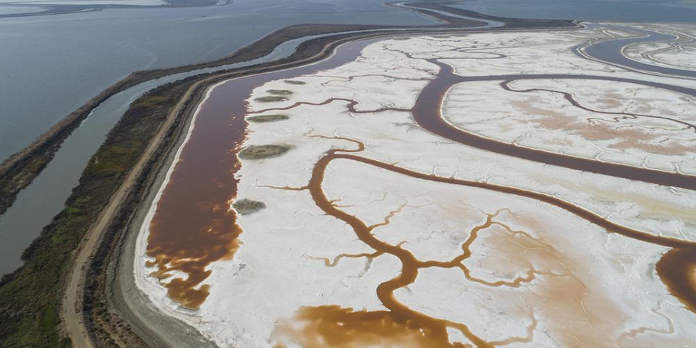 An aerial shot of the Alviso Slough.