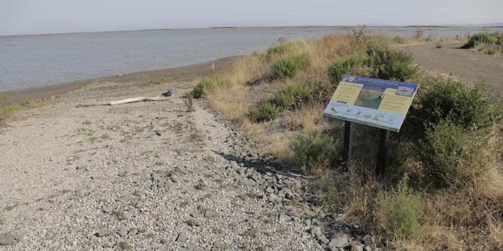 The shores of the Bay Trail with an instructional display for a kayak and canoe launch.