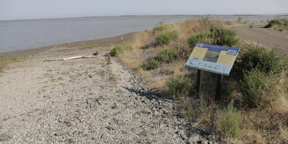 The shores of the Bay Trail with an instructional display for a kayak and canoe launch.