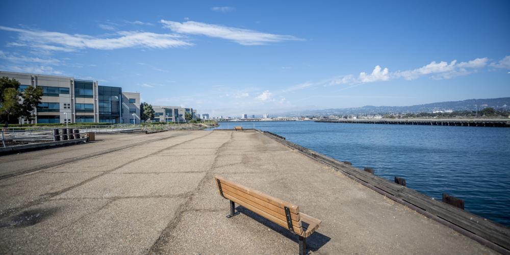 A bench sits in the foreground on a pier above the SF Bay in Berkeley, with the Sawtooth Building in the background on the left.