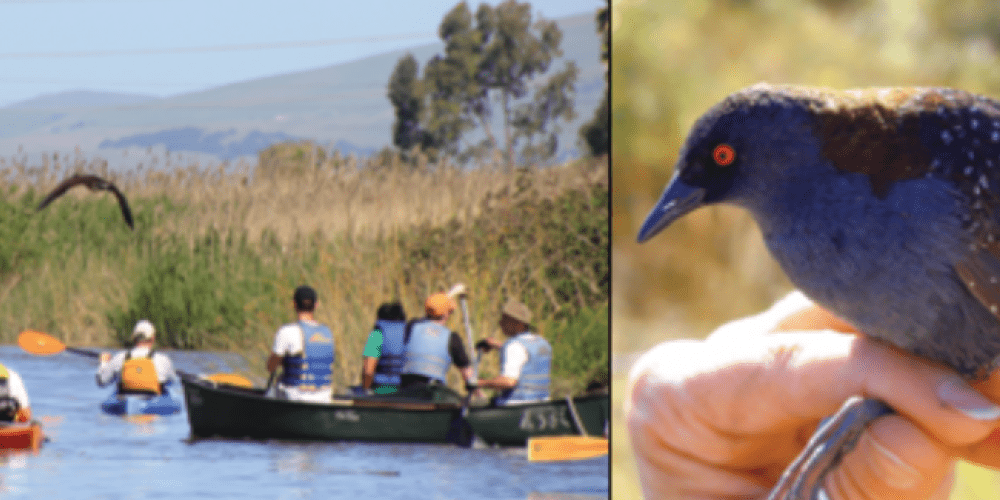San Francisco Estuary Partnership
