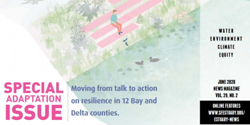 Estuary News