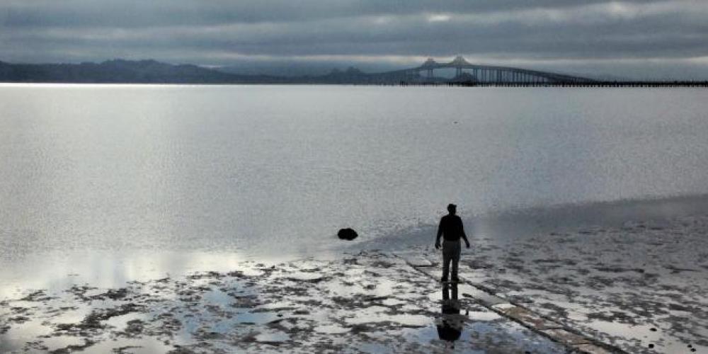 Estuary Week