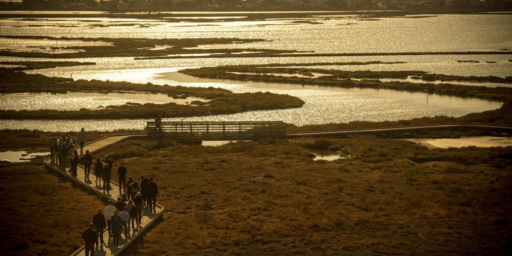 Design teams make their trek on the walkway of the Don Edwards Wildlife Refuge as the sun sets.