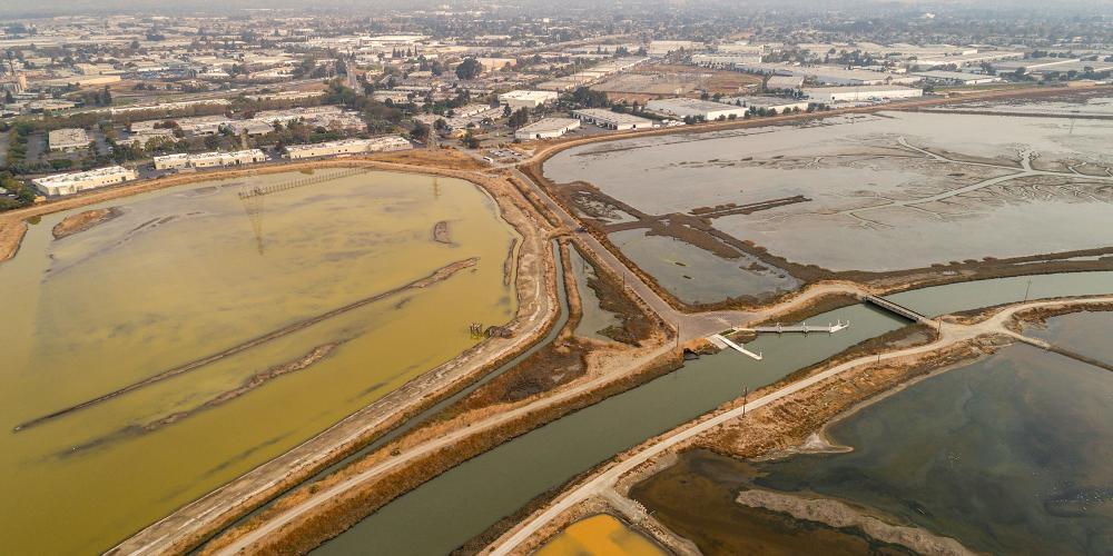 Aerial shot of South Bay Salt Ponds during the Resilient by Design South Bay tour.