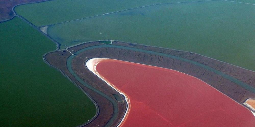 Salt ponds