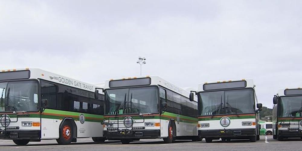 Golden Gate buses