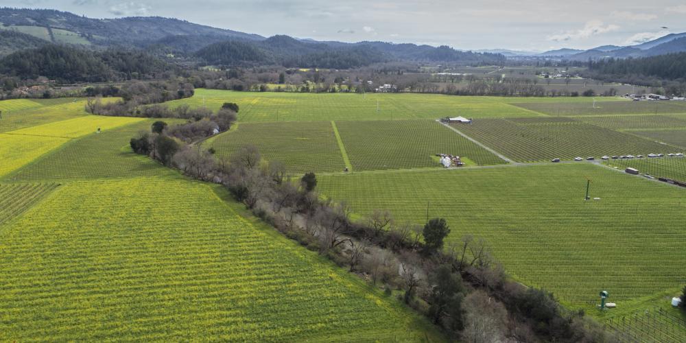 A rushing river cuts through farmland in Napa County.