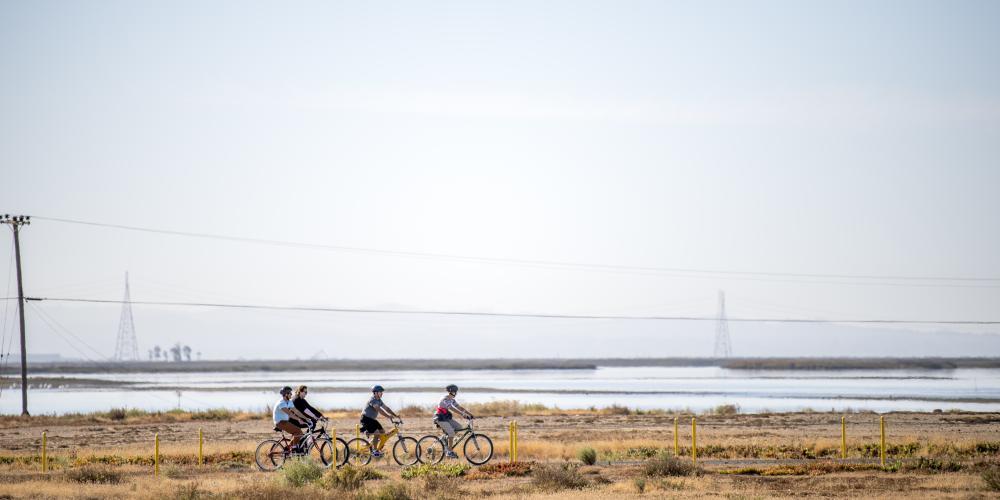 Four bicyclists ride in the Fagan Marsh State Marine Park in Napa County.
