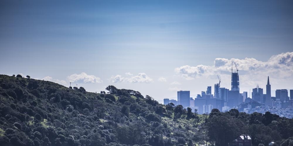 A view of San Francisco's skyline from the hills of Marin County.