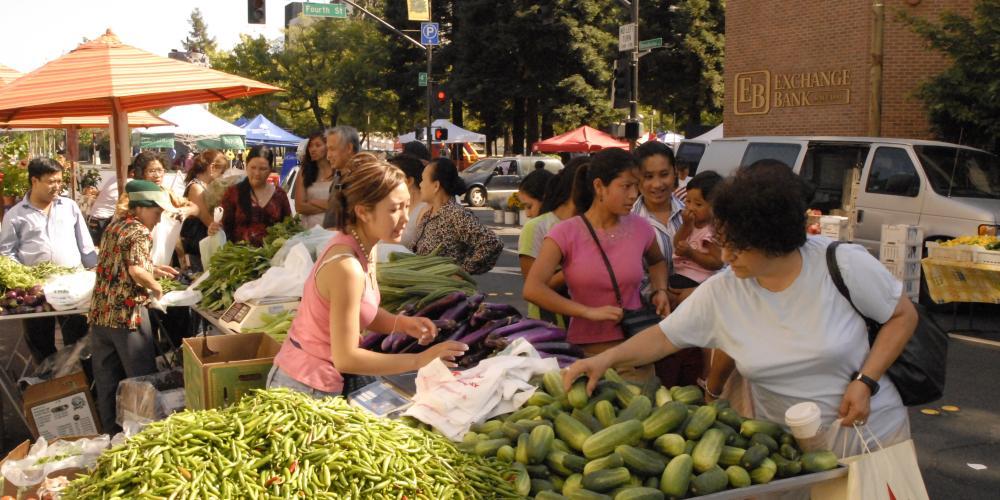 Women at a farmers' market in Santa Rosa stand over a table filled with cucumbers, peppers, and other vegetables.