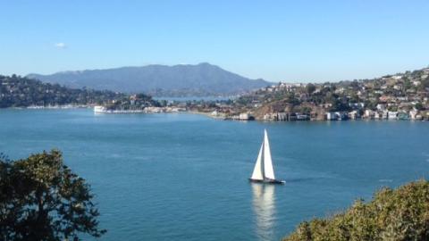 View from Angel Island