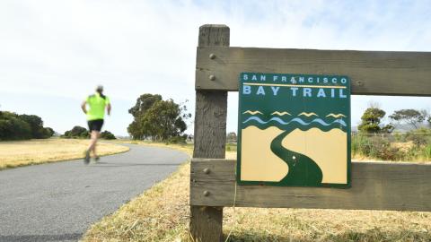 Bay Trail