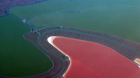Salt ponds