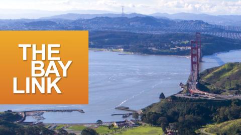 The Bay Link