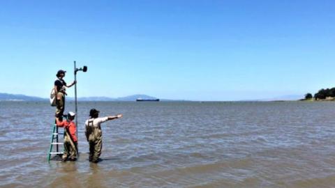 photographers in the bay
