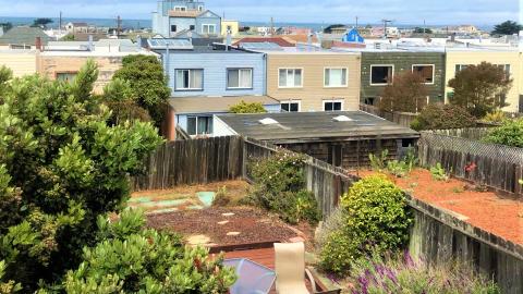 Backyards in San Francisco