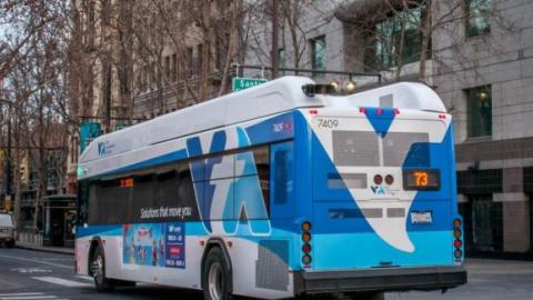vta bus