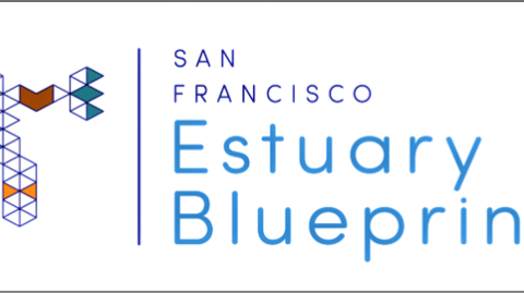 San Francisco Estuary Blueprint