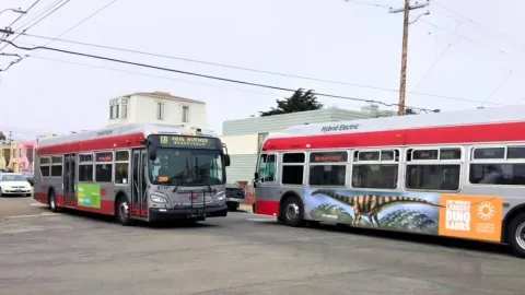 Muni buses