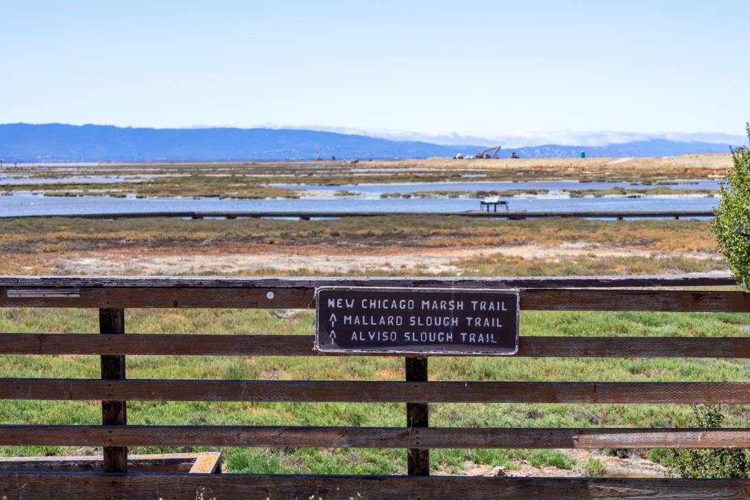 salt ponds tour