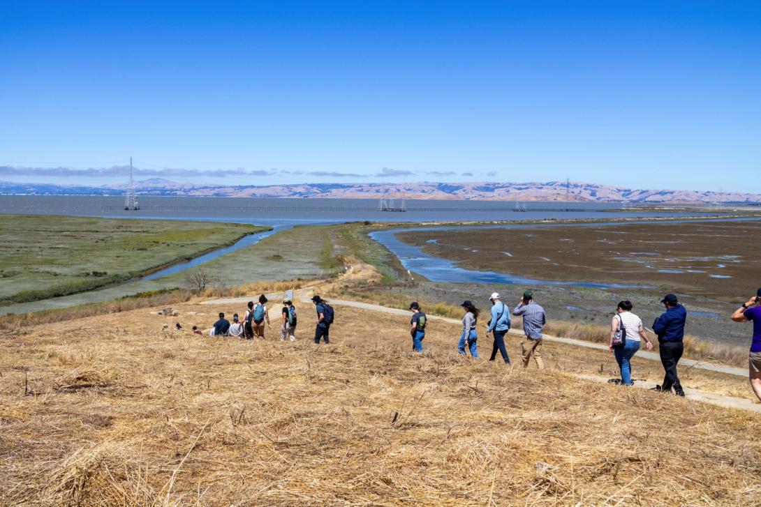 salt ponds tour