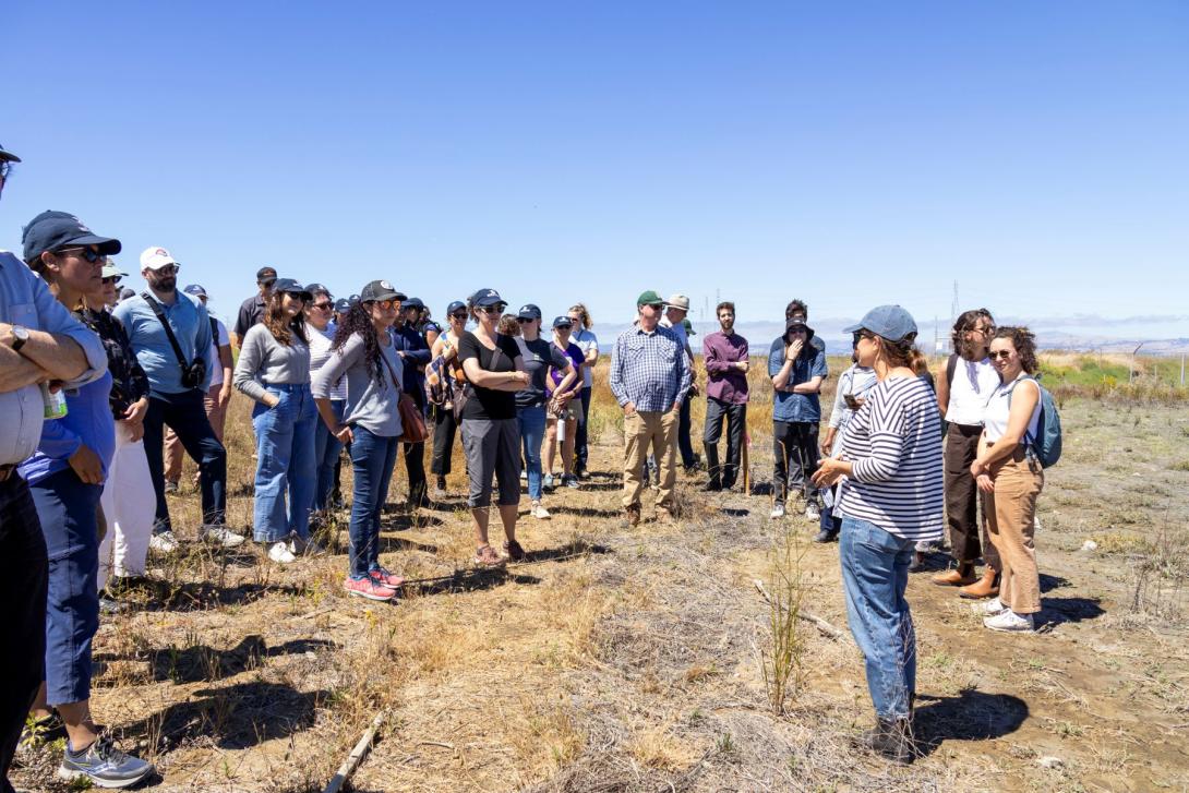 salt ponds tour