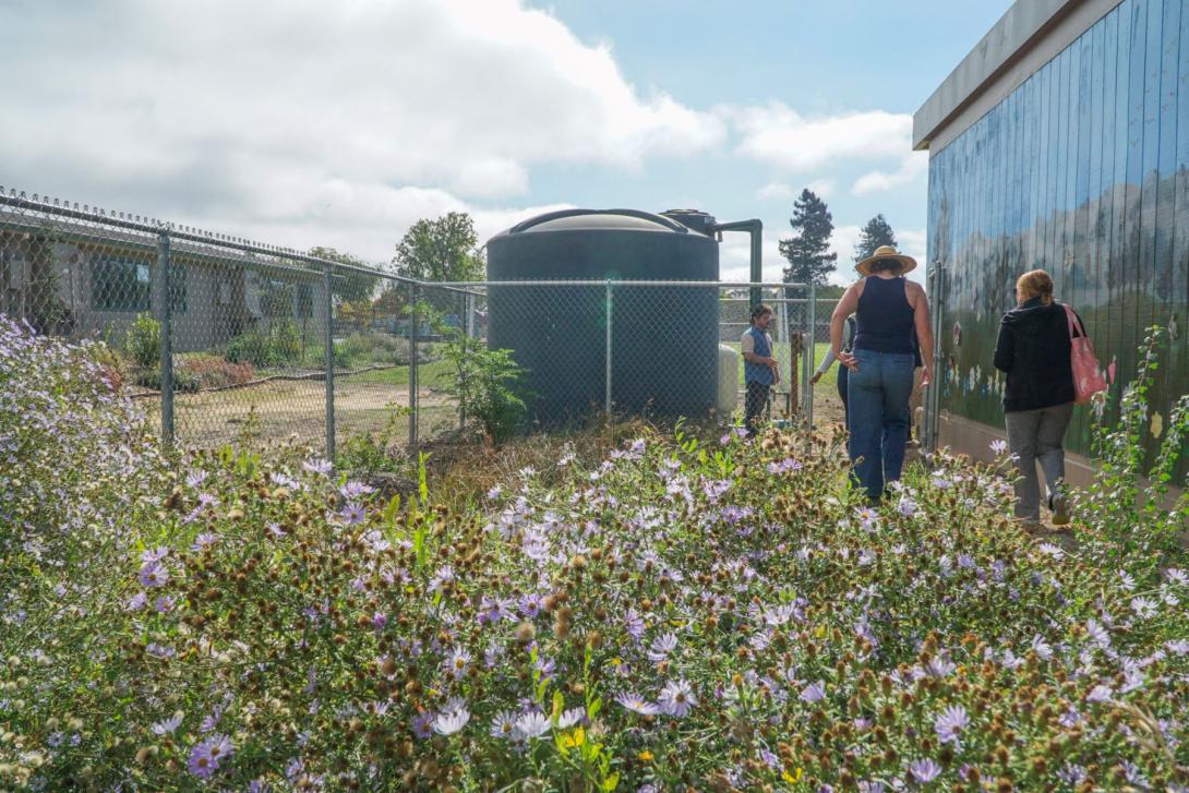 Petaluma Water